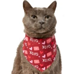 Frisco Love Letters Dog & Cat Bandana 9 Frisco Love Letters Dog & Cat Bandana -Frisco Sales Store 292051 PT2. AC SS1800 V1637269050