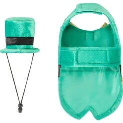 Frisco Guinea Pig St. Patrick's Day Costume -Frisco Sales Store 292196 PT5. AC SS1800 V1639596783