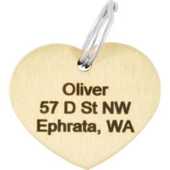 Frisco Brass Personalized Dog & Cat ID Tag, Heart -Frisco Sales Store 296197 PT4. AC SS1800 V1628186527