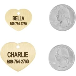 Frisco Brass Personalized Dog & Cat ID Tag, Heart -Frisco Sales Store 296197 PT5. AC SS1800 V1628186498