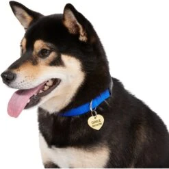 Frisco Brass Personalized Dog & Cat ID Tag, Heart -Frisco Sales Store 296197 PT6. AC SS1800 V1628186493