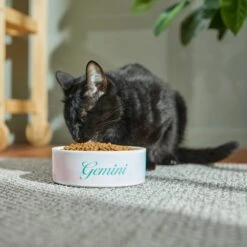 Frisco Watercolors Ceramic Personalized Dog Bowl 10 Frisco Watercolors Ceramic Personalized Dog Bowl -Frisco Sales Store 296664 PT3. AC SS1800 V1625764646