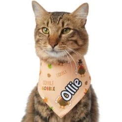 Frisco Quirky Thanksgiving Personalized Dog & Cat Bandana -Frisco Sales Store 296986 PT7. AC SS1800 V1627654903
