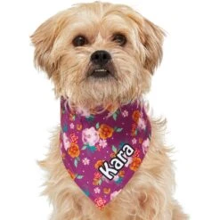 Frisco Fall Floral Personalized Dog & Cat Bandana -Frisco Sales Store 296990 PT6. AC SS1800 V1627654305