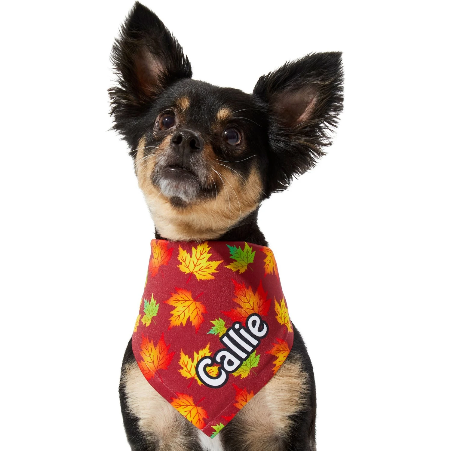 Frisco Fall Leaves Personalized Dog & Cat Bandana 7 Frisco Fall Leaves Personalized Dog & Cat Bandana - Image 7