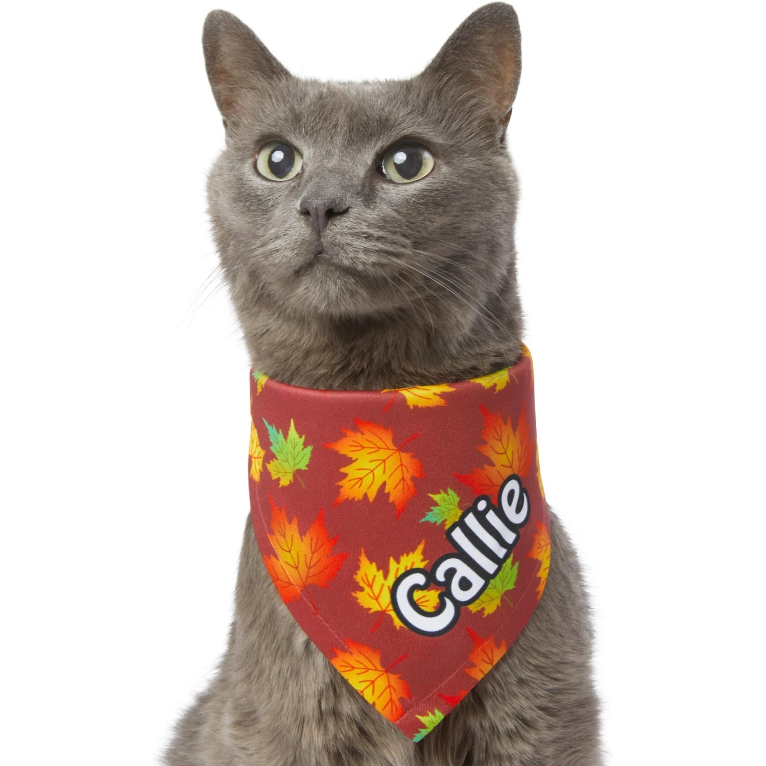 Frisco Fall Leaves Personalized Dog & Cat Bandana 8 Frisco Fall Leaves Personalized Dog & Cat Bandana - Image 8