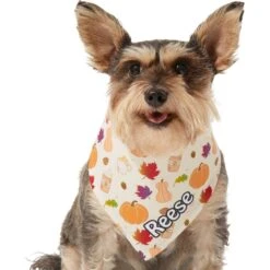 Frisco Pumpkin Spice Personalized Dog & Cat Bandana -Frisco Sales Store 296998 PT6. AC SS1800 V1627654408