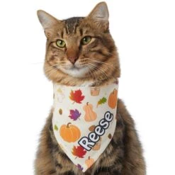 Frisco Pumpkin Spice Personalized Dog & Cat Bandana -Frisco Sales Store 296998 PT7. AC SS1800 V1627654273