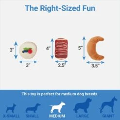 Frisco Brunch Pastry Plate Plush Squeaky Dog Toy 6 Frisco Brunch Pastry Plate Plush Squeaky Dog Toy -Frisco Sales Store 297262 PT2. AC SS1800 V1643916710