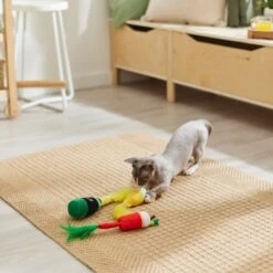 Frisco Brunch Bottomless Mimosas Plush Cat Toy With Catnip, 3 Count -Frisco Sales Store 297288 PT2. AC SS1800 V1642088553