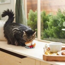 Frisco Brunch Teacup Plush Cat Toy With Catnip 5 Frisco Brunch Teacup Plush Cat Toy With Catnip -Frisco Sales Store 297292 PT2. AC SS1800 V1642088843