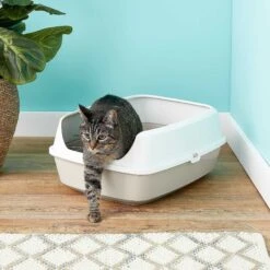 Frisco Decorative Side Table Cat Litter Box Cover & Frisco Open Top Cat Litter Box With Rim, Large -Frisco Sales Store 297992 PT6. AC SS1800 V1621299762