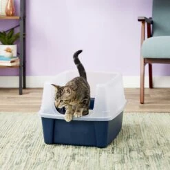 Frisco Plastic Litter Scooper With Caddy & IRIS USA Open Top Litter Box With Scatter Shield -Frisco Sales Store 298166 PT6. AC SS1800 V1623202669