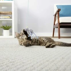 PureBites Chicken Breast Freeze-Dried Raw Cat Treats & Frisco Bouncy Mouse Plush Teaser Cat Toy With Catnip -Frisco Sales Store 298414 PT5. AC SS1800 V1623194253