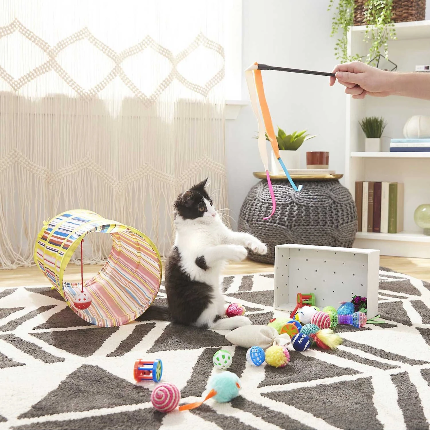 Sheba Meaty Tender Sticks Salmon Flavored Soft Adult Cat Treats & Frisco Plush, Teaser, Ball & Tunnel Variety Pack Cat Toy With Catnip 5 Sheba Meaty Tender Sticks Salmon Flavored Soft Adult Cat Treats & Frisco Plush, Teaser, Ball & Tunnel Variety Pack Cat Toy With Catnip - Image 5