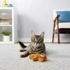 Sheba Meaty Tender Sticks Tuna Flavor Soft Adult Cat Treats & Frisco Squirrel Plush Cat Toy With Refillable Catnip 11 Sheba Meaty Tender Sticks Tuna Flavor Soft Adult Cat Treats & Frisco Squirrel Plush Cat Toy With Refillable Catnip -Frisco Sales Store 298510 PT5. AC SS1800 V1623201742