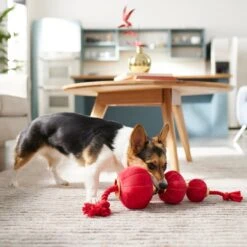 Frisco Lunar New Year Lantern Plush With Rope Squeaky Dog Toy -Frisco Sales Store 298885 PT3. AC SS1800 V1640269279