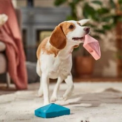 Frisco Valentine Love Letters Latex Squeaky Dog Toy -Frisco Sales Store 298925 PT3. AC SS1800 V1701365173