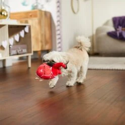 Frisco Valentine Anatomical Heart Plush Squeaky Dog Toy -Frisco Sales Store 298933 PT3. AC SS1800 V1638987632