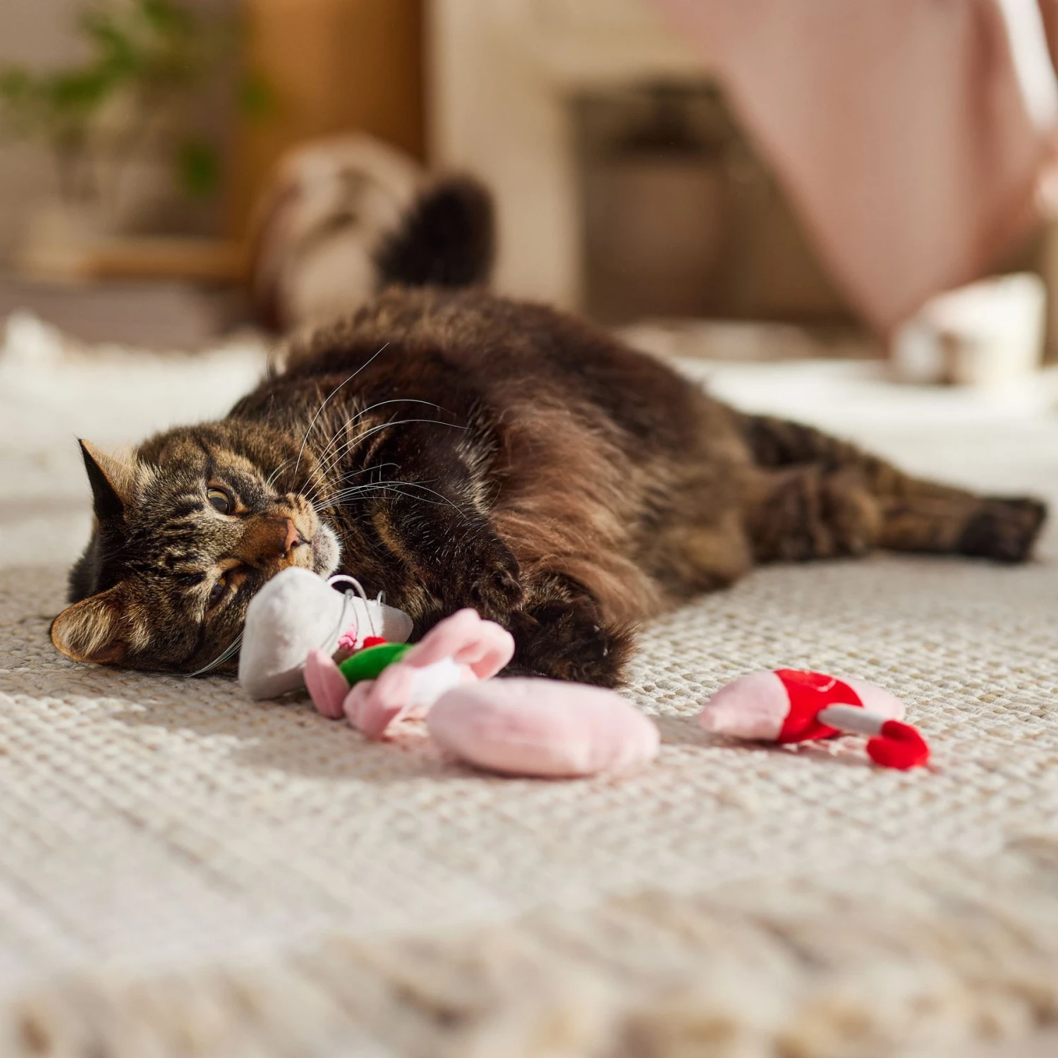 Frisco It's Raining Love Plush Cat Toy With Catnip, 4 Count 3 Frisco It's Raining Love Plush Cat Toy With Catnip, 4 Count - Image 3