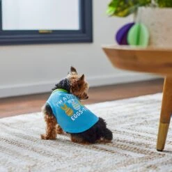 Frisco I'm A Little Eggs-tra Dog & Cat T-Shirt -Frisco Sales Store 300646 PT5. AC SS1800 V1641542509