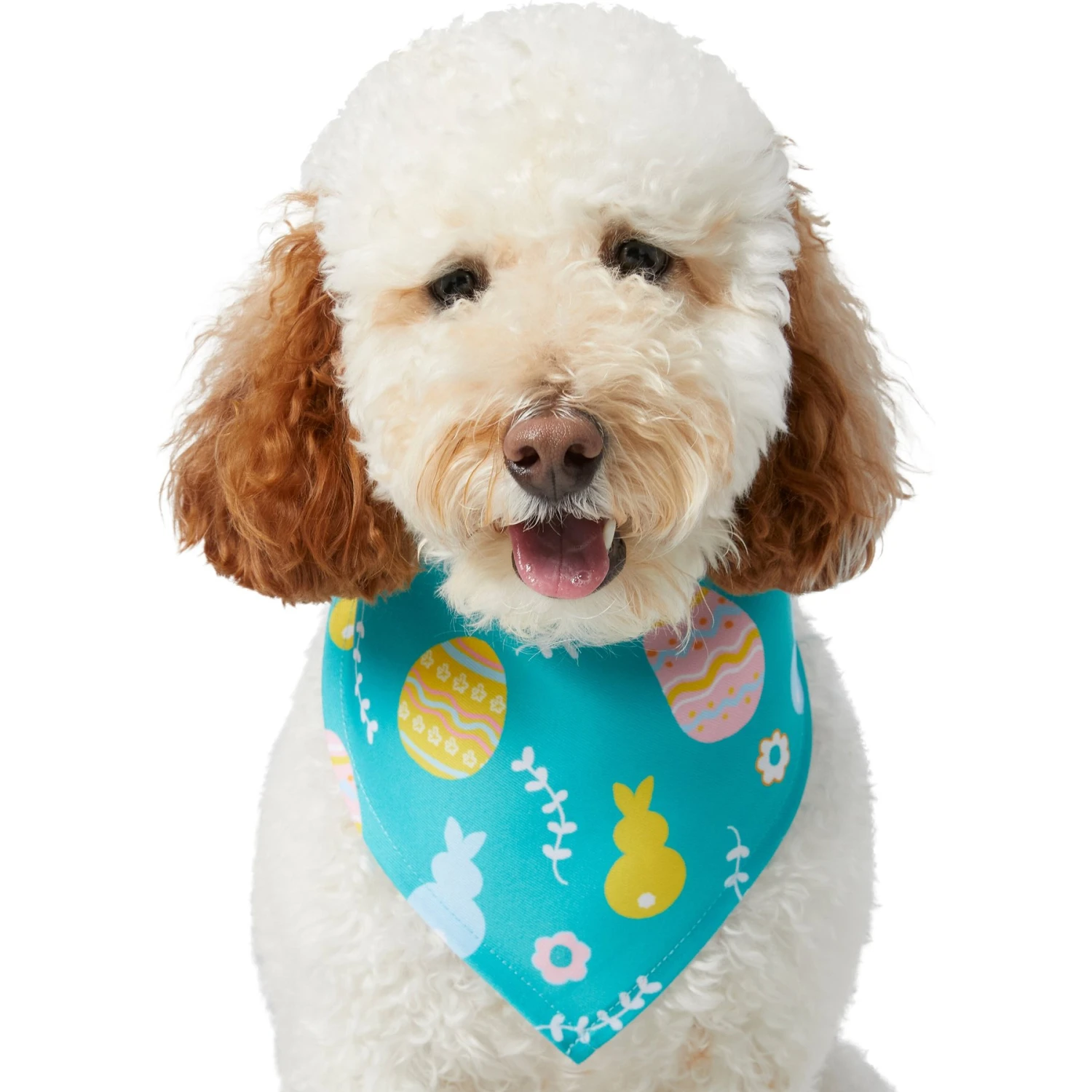 Frisco Spring Easter Egg Dog & Cat Bandana 1 Frisco Spring Easter Egg Dog & Cat Bandana