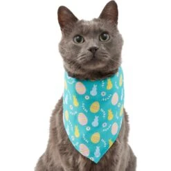 Frisco Spring Easter Egg Dog & Cat Bandana 9 Frisco Spring Easter Egg Dog & Cat Bandana -Frisco Sales Store 300663 PT2. AC SS1800 V1641537094