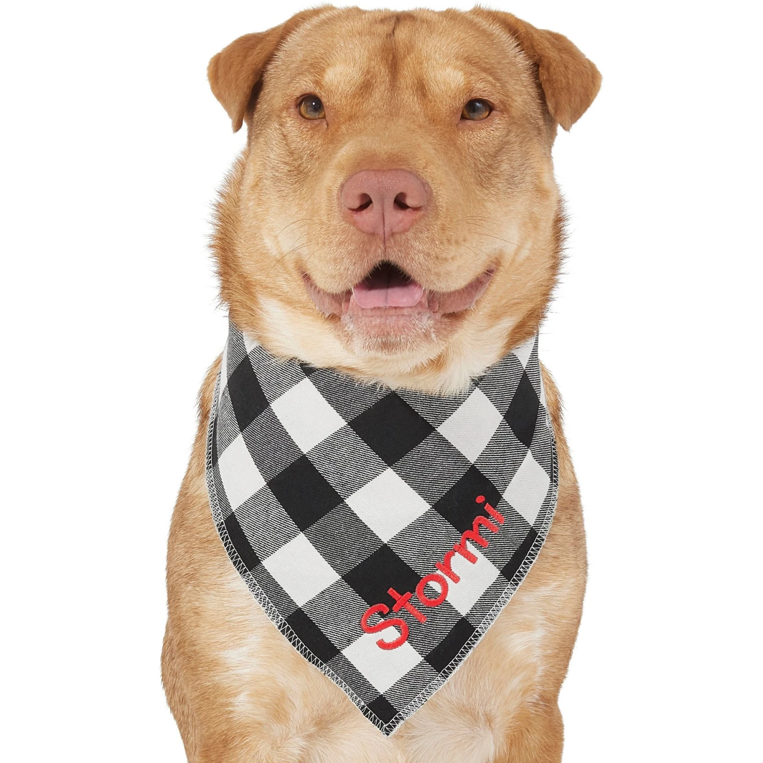 Frisco Buffalo Check Embroidered Personalized Dog & Cat Bandana 6 Frisco Buffalo Check Embroidered Personalized Dog & Cat Bandana - Image 6