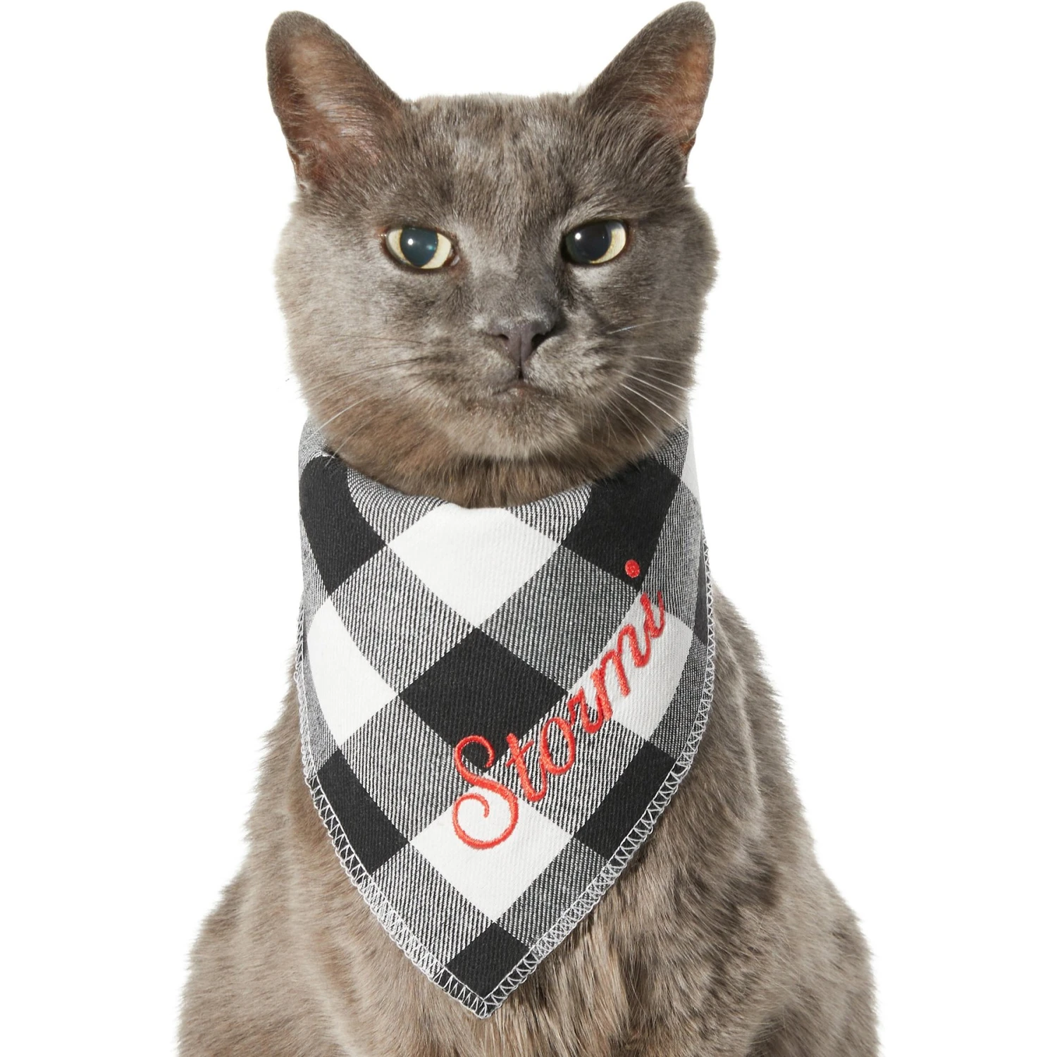 Frisco Buffalo Check Embroidered Personalized Dog & Cat Bandana 7 Frisco Buffalo Check Embroidered Personalized Dog & Cat Bandana - Image 7