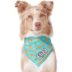 Frisco Gingerbread Cookie Personalized Dog & Cat Bandana 14 Frisco Gingerbread Cookie Personalized Dog & Cat Bandana -Frisco Sales Store 301361 PT6. AC SS1800 V1628100109