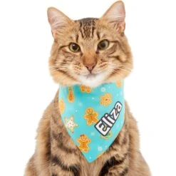 Frisco Gingerbread Cookie Personalized Dog & Cat Bandana 15 Frisco Gingerbread Cookie Personalized Dog & Cat Bandana -Frisco Sales Store 301361 PT7. AC SS1800 V1628100087