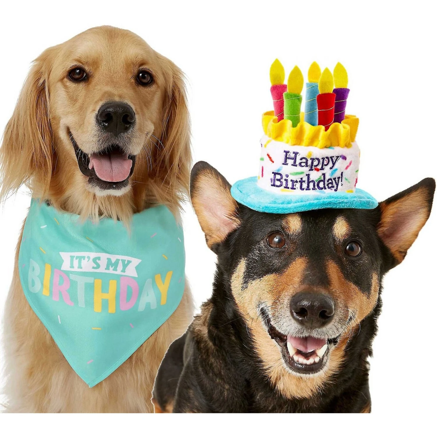 Frisco Dog & Cat Birthday Bandana & Frisco Birthday Cake Dog & Cat Hat 3 Frisco Dog & Cat Birthday Bandana & Frisco Birthday Cake Dog & Cat Hat - Image 3