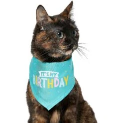 Frisco Dog & Cat Birthday Bandana & Frisco Birthday Cake Dog & Cat Hat 12 Frisco Dog & Cat Birthday Bandana & Frisco Birthday Cake Dog & Cat Hat -Frisco Sales Store 302374 PT3. AC SS1800 V1633076486