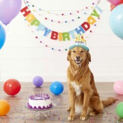 Frisco Dog & Cat Birthday Bandana & Frisco Birthday Cake Dog & Cat Hat 15 Frisco Dog & Cat Birthday Bandana & Frisco Birthday Cake Dog & Cat Hat -Frisco Sales Store 302374 PT6. AC SS1800 V1633067816