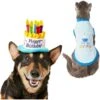 Frisco Birthday Cake Dog & Cat Hat & Frisco It's My Birthday & Cat T-Shirt
