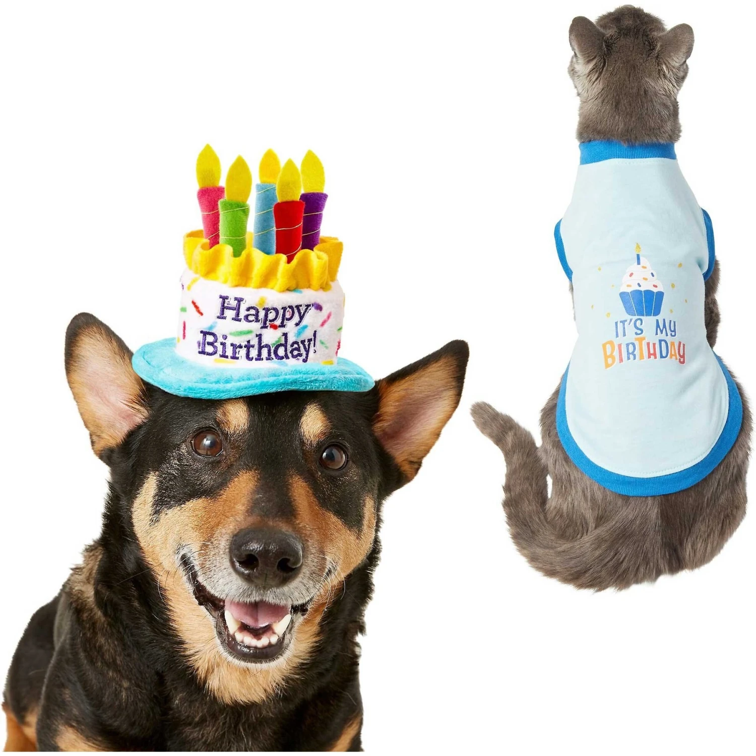 Frisco Birthday Cake Dog & Cat Hat & Frisco It's My Birthday & Cat T-Shirt 1 Frisco Birthday Cake Dog & Cat Hat & Frisco It's My Birthday & Cat T-Shirt