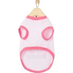 Frisco Birthday Cake Dog & Cat Hat & Frisco It's My Birthday Dog & Cat T-Shirt, Pink -Frisco Sales Store 302398 PT6. AC SS1800 V1623034652