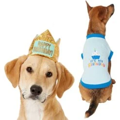 Frisco Happy Birthday Dog & Cat Crown & Frisco It's My Birthday & Cat T-Shirt