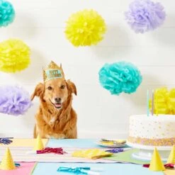 Frisco Happy Birthday Dog & Cat Crown & Frisco It's My Birthday & Cat T-Shirt -Frisco Sales Store 302470 PT3. AC SS1800 V1623073946