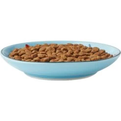 Frisco New York Non-skid Ceramic Cat Dish & Frisco New York Non-skid Ceramic Cat Bowl 11 Frisco New York Non-skid Ceramic Cat Dish & Frisco New York Non-skid Ceramic Cat Bowl -Frisco Sales Store 302488 PT2. AC SS1800 V1623059244