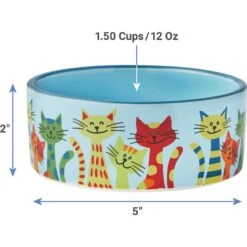 Frisco New York Non-skid Ceramic Cat Dish & Frisco New York Non-skid Ceramic Cat Bowl 16 Frisco New York Non-skid Ceramic Cat Dish & Frisco New York Non-skid Ceramic Cat Bowl -Frisco Sales Store 302488 PT7. AC SS1800 V1623052360