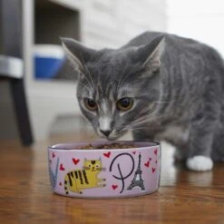 Frisco Paris Non-skid Ceramic Cat Dish & Frisco Paris Non-skid Ceramic Cat Dish 17 Frisco Paris Non-skid Ceramic Cat Dish & Frisco Paris Non-skid Ceramic Cat Dish -Frisco Sales Store 302490 PT8. AC SS1800 V1623043046