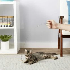 Frisco Cardboard & Wire Teaser Cat Toy & Frisco Fabric Teaser Wand Cat Toy 9 Frisco Cardboard & Wire Teaser Cat Toy & Frisco Fabric Teaser Wand Cat Toy -Frisco Sales Store 302538 PT3. AC SS1800 V1623035861