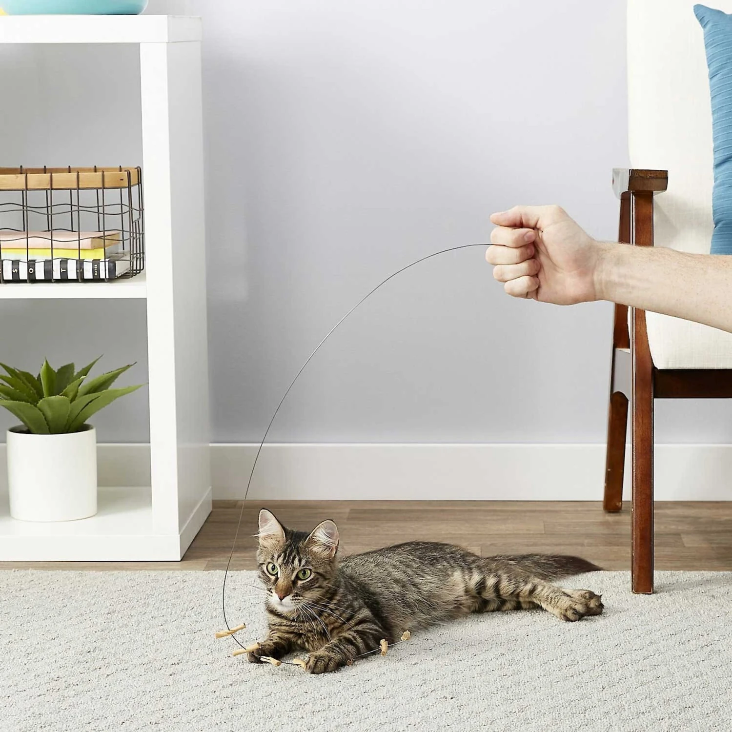 Frisco Cardboard & Wire Teaser Cat Toy & Frisco Fabric Teaser Wand Cat Toy 4 Frisco Cardboard & Wire Teaser Cat Toy & Frisco Fabric Teaser Wand Cat Toy - Image 4