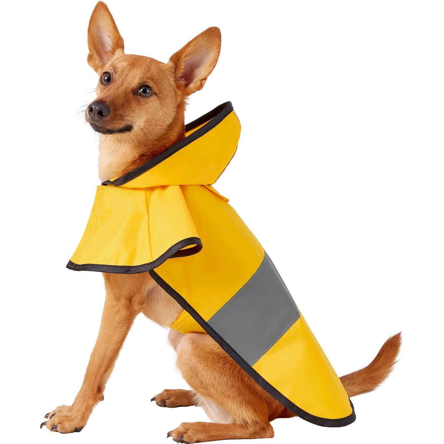Frisco Lightweight Rainy Days Dog Raincoat & Frisco Lightweight Clear Vinyl Dog Raincoat 2 Frisco Lightweight Rainy Days Dog Raincoat & Frisco Lightweight Clear Vinyl Dog Raincoat - Image 2
