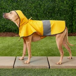 Frisco Lightweight Rainy Days Dog Raincoat & Frisco Lightweight Clear Vinyl Dog Raincoat 13 Frisco Lightweight Rainy Days Dog Raincoat & Frisco Lightweight Clear Vinyl Dog Raincoat -Frisco Sales Store 302814 PT4. AC SS1800 V1623089554