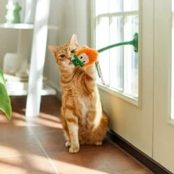Frisco St. Patrick's Leprechaun Suction Cup Teaser Cat Toy With Catnip -Frisco Sales Store 303110 PT3. AC SS1800 V1641230446