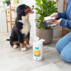 Catit Flower Plastic Cat Fountain & Frisco Pet Toy & Bowl Cleaning Wipes, 70 Count -Frisco Sales Store 303288 PT7. AC SS1800 V1623047247