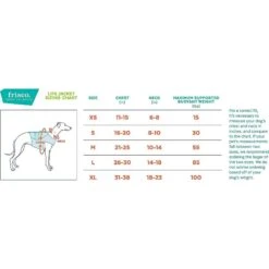 Frisco Active Dog Life Jacket & Frisco Foam Rubber Floating Fetch Ball No Squeak Dog Toy -Frisco Sales Store 303364 PT5. AC SS1800 V1623163949