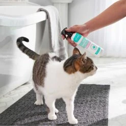 Frisco Aloe Hydrating Dog & Cat Spray, Sweet Nectar Scent & Frisco Oatmeal Dog & Cat Shampoo, Almond Scent 13 Frisco Aloe Hydrating Dog & Cat Spray, Sweet Nectar Scent & Frisco Oatmeal Dog & Cat Shampoo, Almond Scent -Frisco Sales Store 303372 PT4. AC SS1800 V1623076060